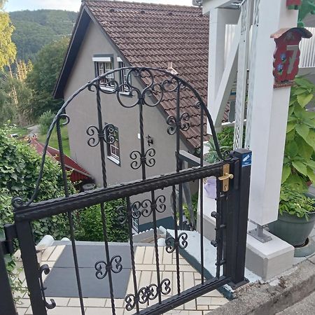 Haus Wiesental Kleines Wiesental Esterno foto