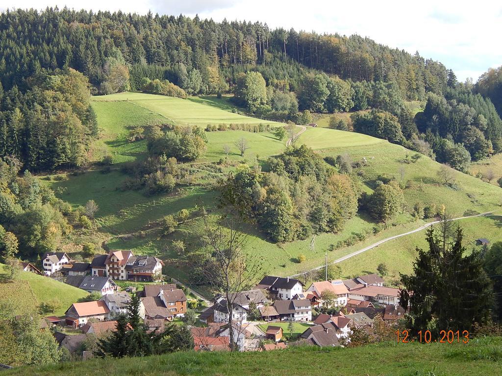 Haus Wiesental Kleines Wiesental Esterno foto