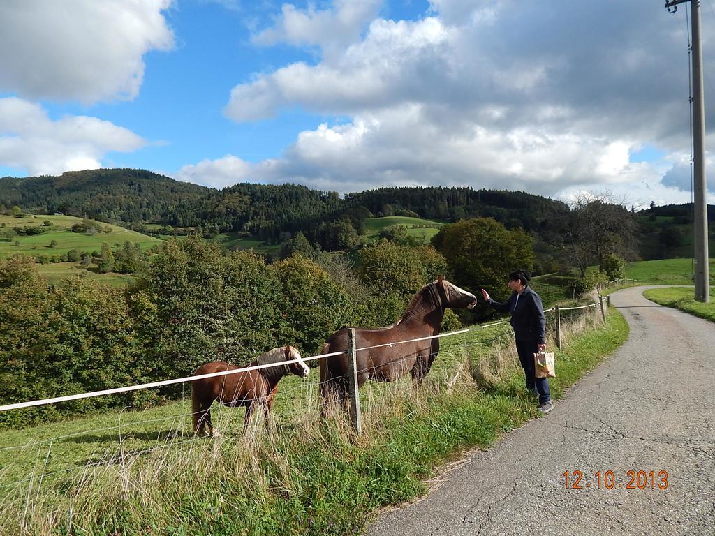 Haus Wiesental Kleines Wiesental Esterno foto