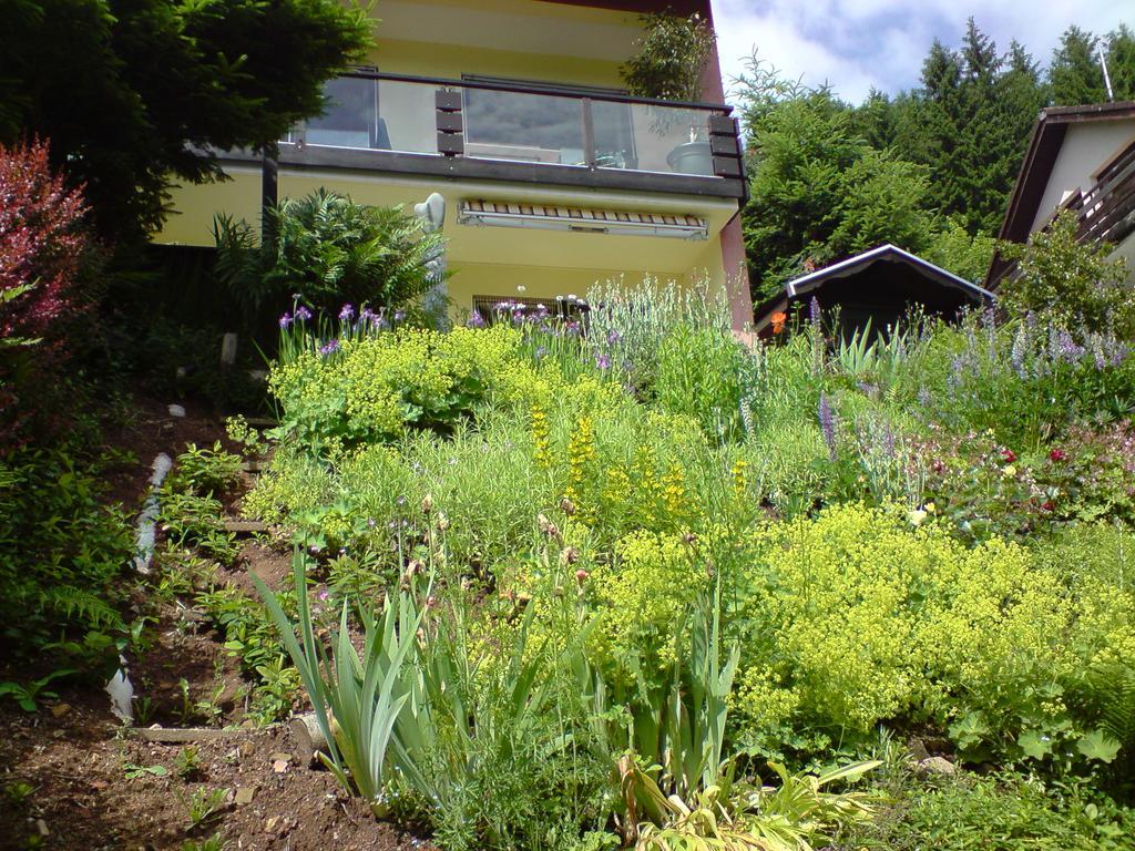 Haus Wiesental Kleines Wiesental Esterno foto