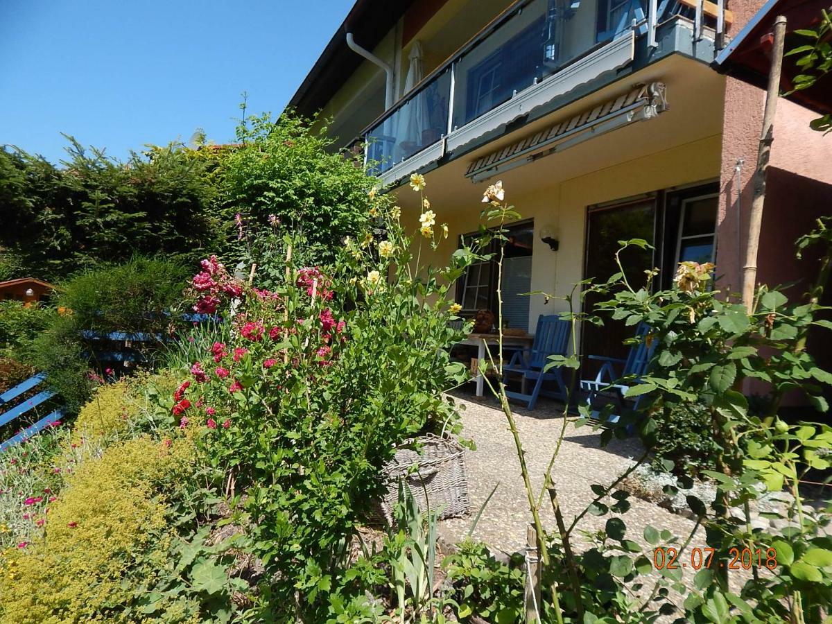 Haus Wiesental Kleines Wiesental Esterno foto