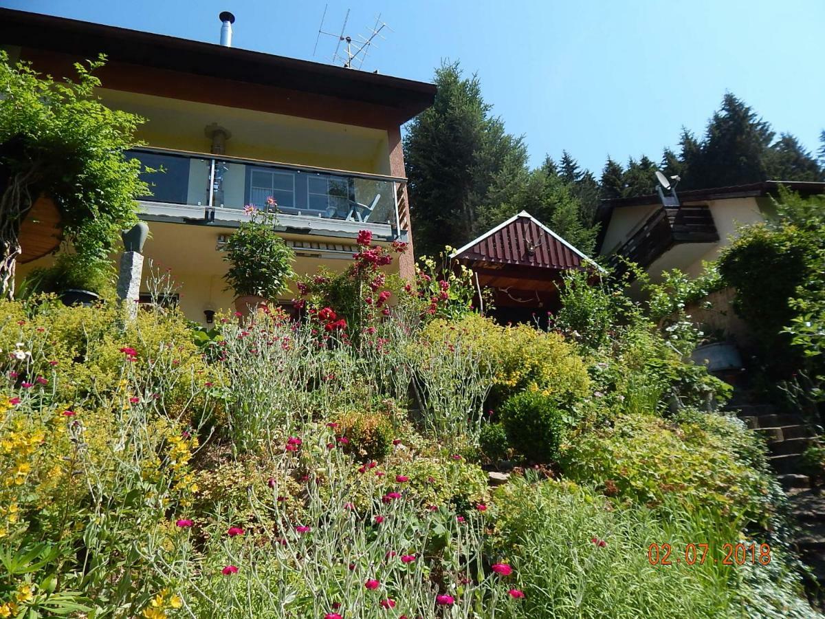 Haus Wiesental Kleines Wiesental Esterno foto