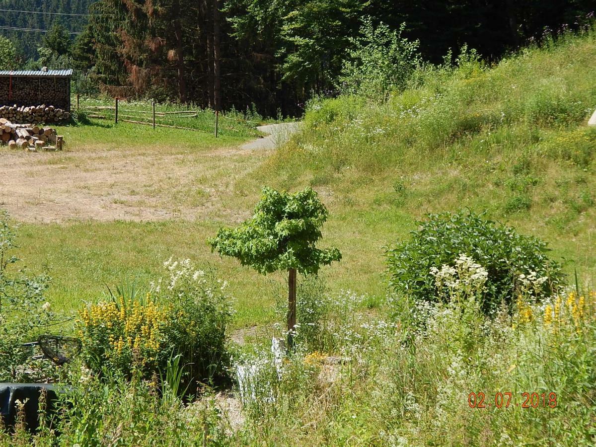 Haus Wiesental Kleines Wiesental Esterno foto
