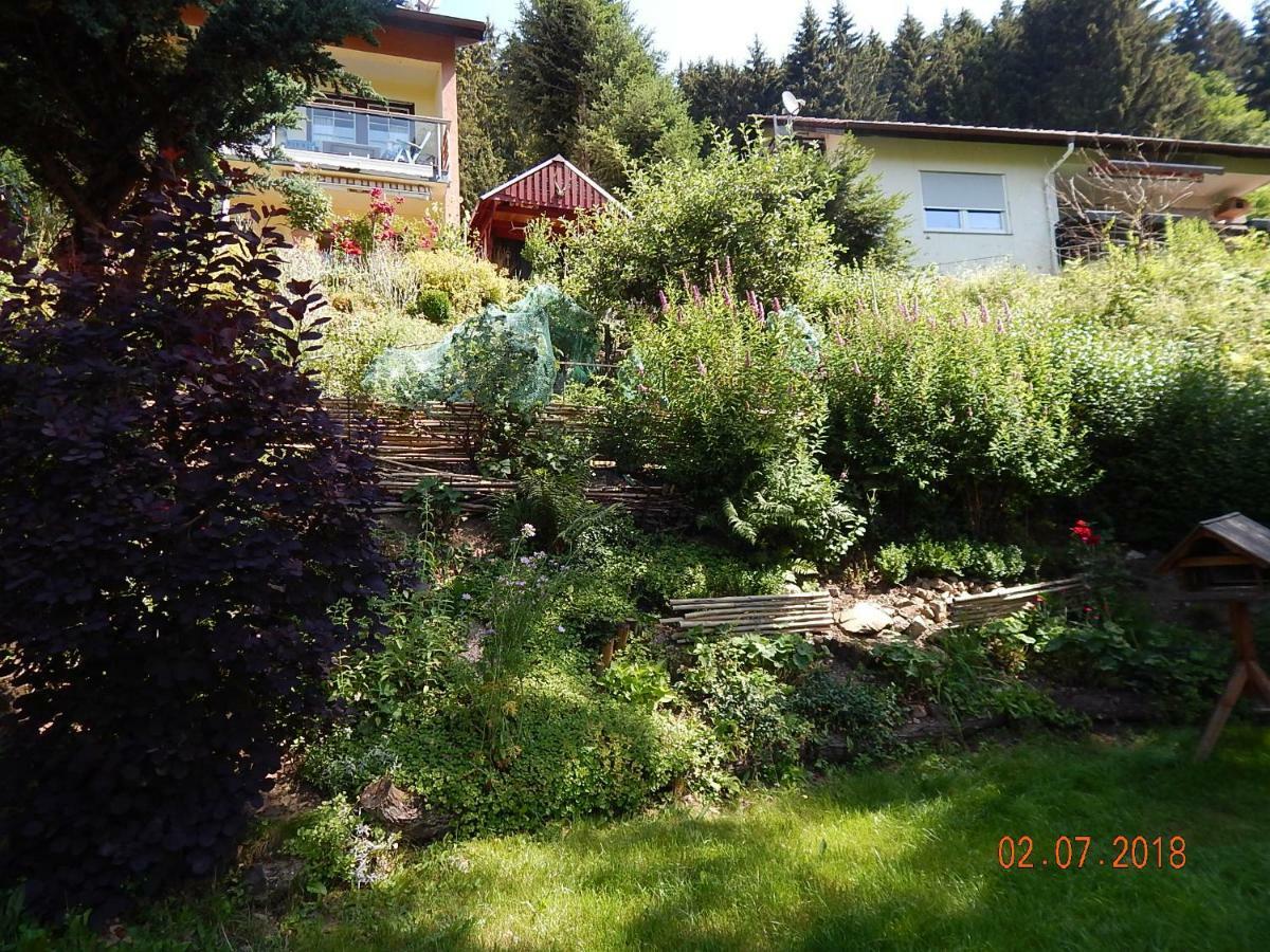 Haus Wiesental Kleines Wiesental Esterno foto