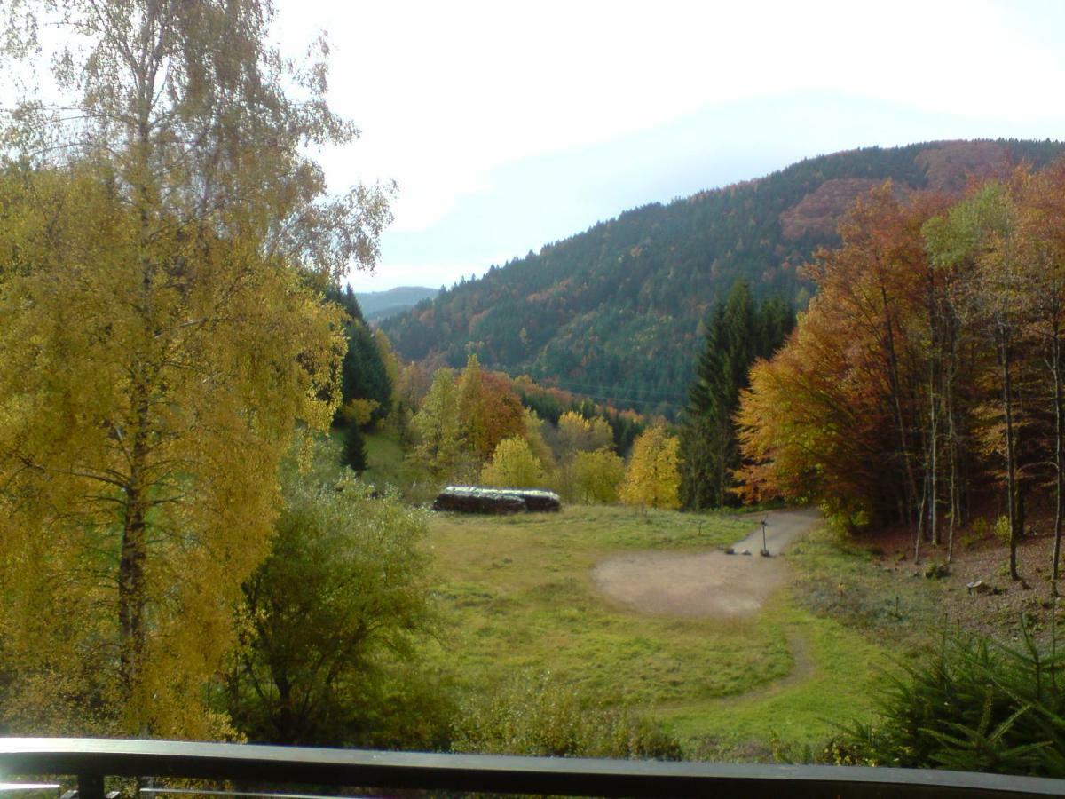 Haus Wiesental Kleines Wiesental Esterno foto